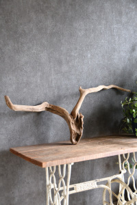 流木販売 特大サイズ