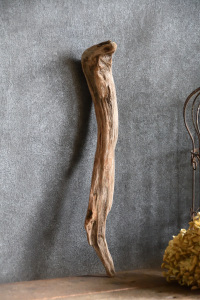 流木棒 長さ50cm未満