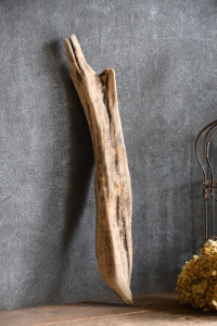 流木棒 長さ50cm未満