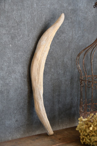 流木棒 長さ50cm未満