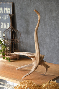 流木販売 根っこ流木