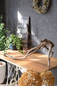 流木販売 根っこ流木