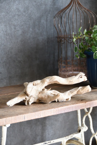 流木販売 小型サイズ