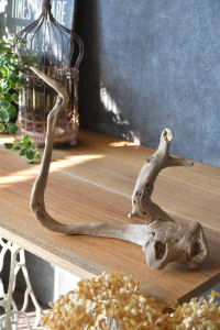 流木販売 根っこ流木