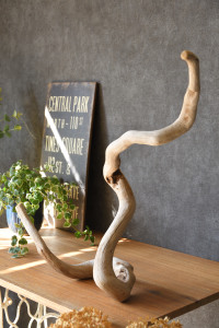 流木販売 根っこ流木