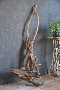 流木販売 特大サイズ