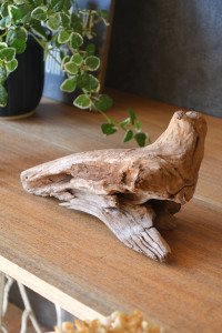 流木販売 かたまり流木