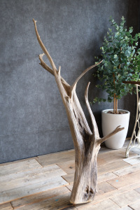 流木販売 特大サイズ