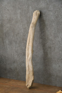 流木棒 長さ50cm未満