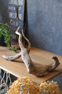 流木販売 根っこ流木