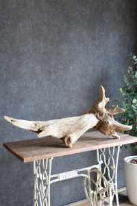 流木販売 特大サイズ