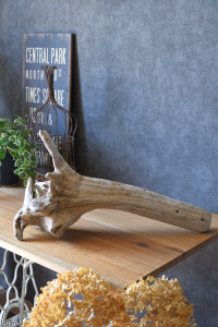 流木販売 かたまり流木