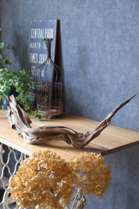 流木販売 根っこ流木