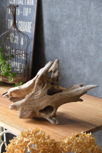 流木販売 かたまり流木