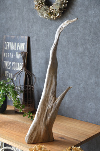 流木販売 かたまり流木