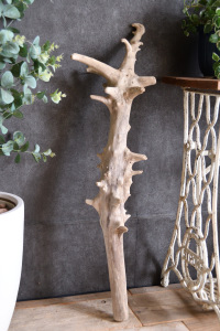 流木棒 長さ50cm～100cm