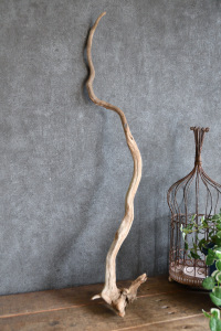 流木棒 長さ50cm～100cm
