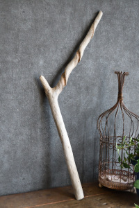 流木棒 長さ50cm～100cm