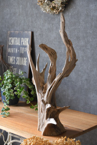 流木販売 根っこ流木