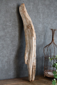 流木棒 長さ50cm～100cm