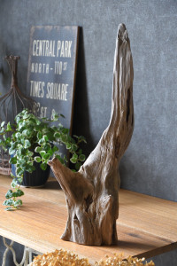 流木販売 かたまり流木