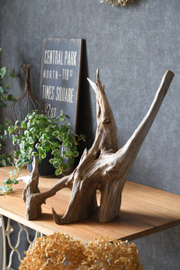 流木販売 根っこ流木