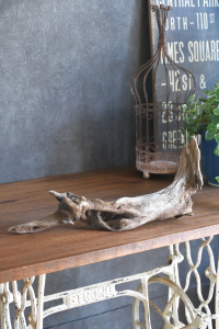 流木販売 中型サイズ