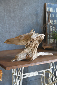 流木販売 中型サイズ