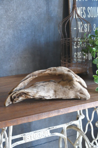 流木販売 小型サイズ