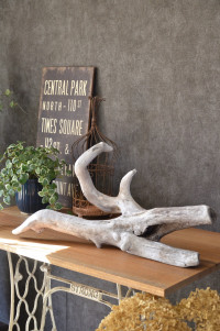 流木販売 根っこ流木