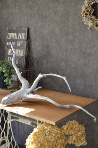 流木販売 根っこ流木