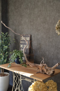 流木販売 根っこ流木