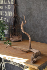 流木販売 根っこ流木