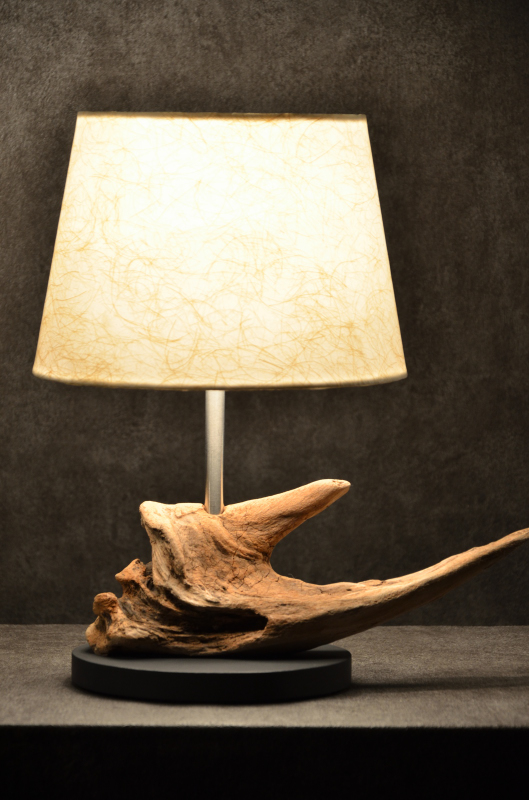 流木ランプ